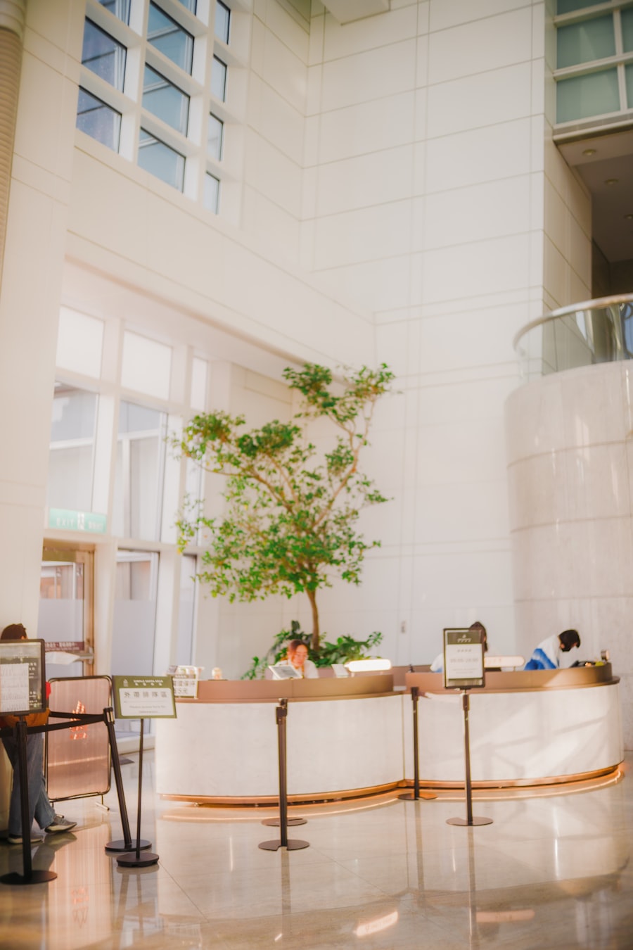 Office lobby reception desk with a potted tree