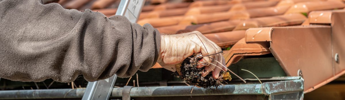 Gutter Cleaning