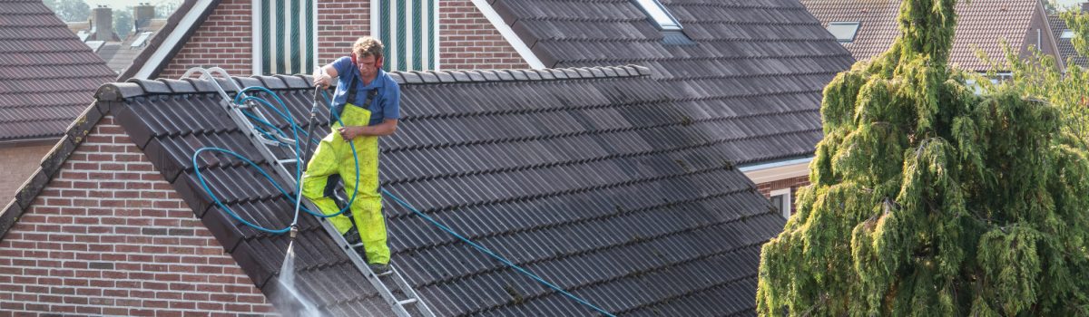 Roof Cleaning